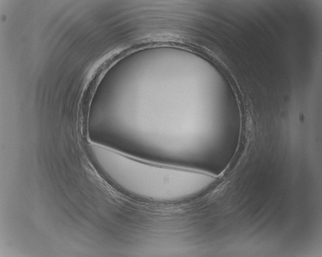 X0000053020979200507080948