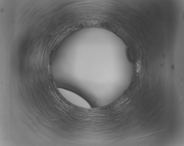 X0000053021011200507080946