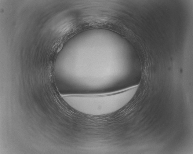 X0000053021012200507080946