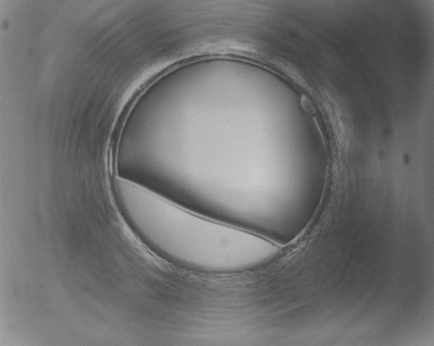 X0000053021032200507080947