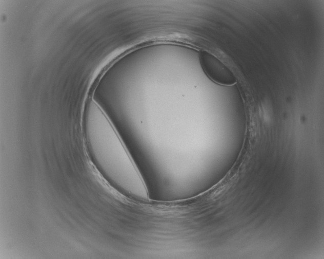 X0000053021036200507080947