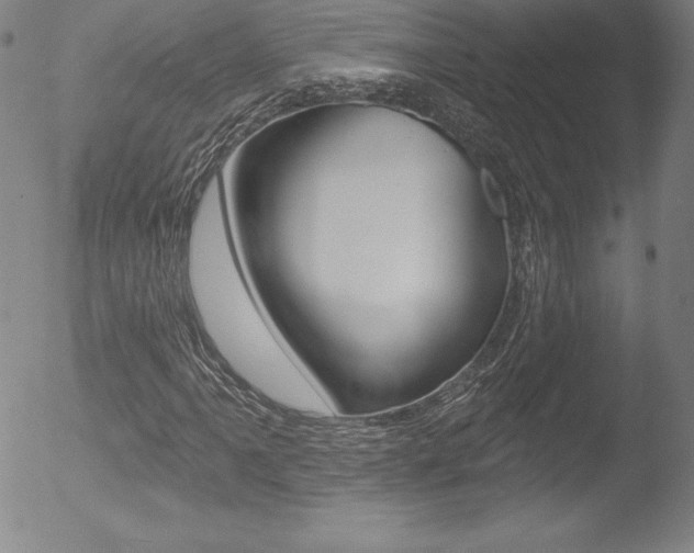 X0000053021061200507080946