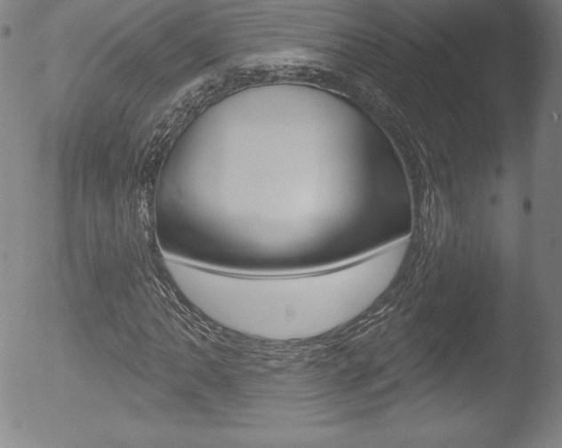 X0000053021062200507080946