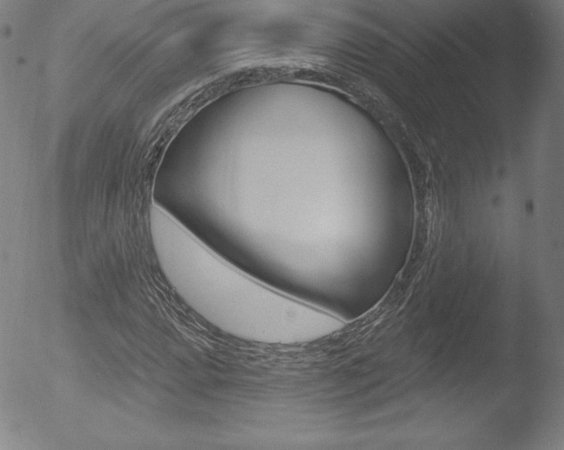 X0000053021064200507080946