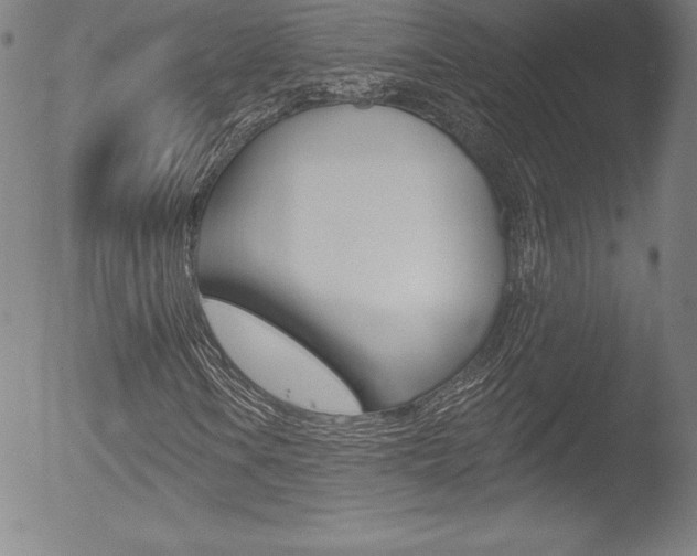X0000053021106200507080945
