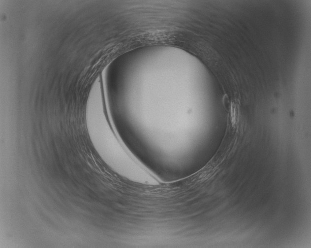 X0000053021107200507080945