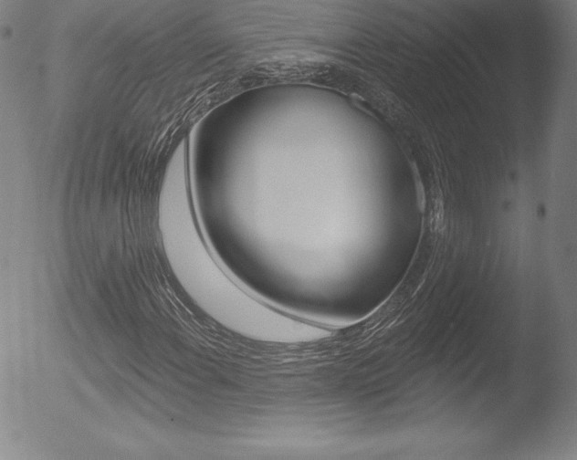X0000053021108200507080945