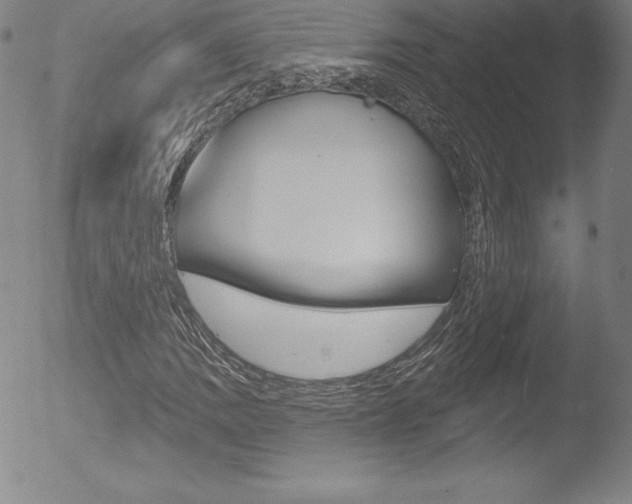 X0000053021109200507080945