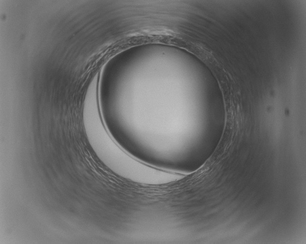 X0000053021110200507080945