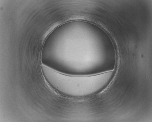 X0000053021137200507080945