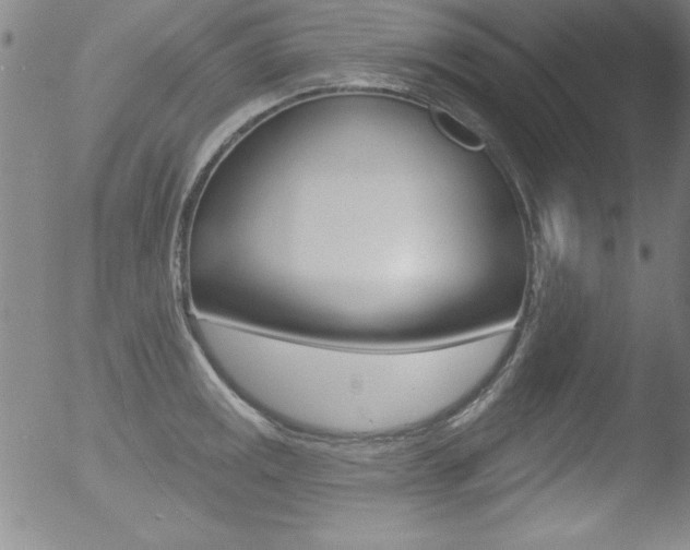 X0000053021141200507080945