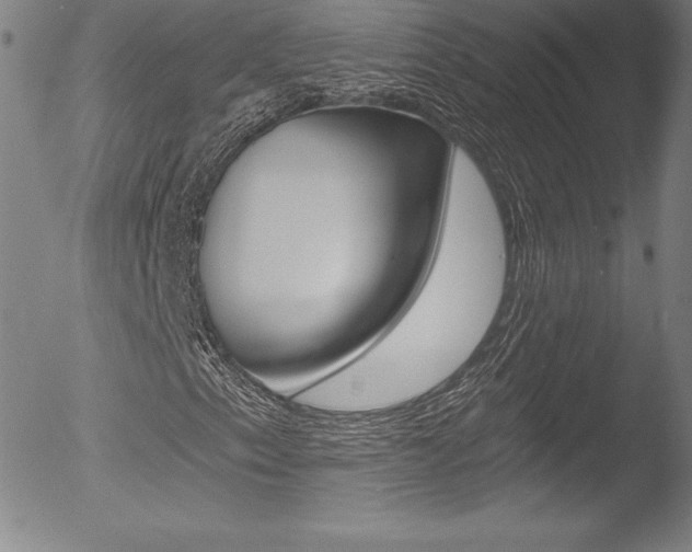 X0000053021153200507080945
