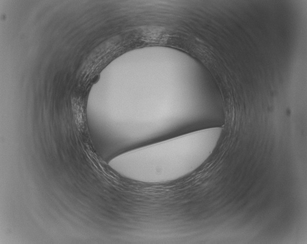 X0000053021154200507080945
