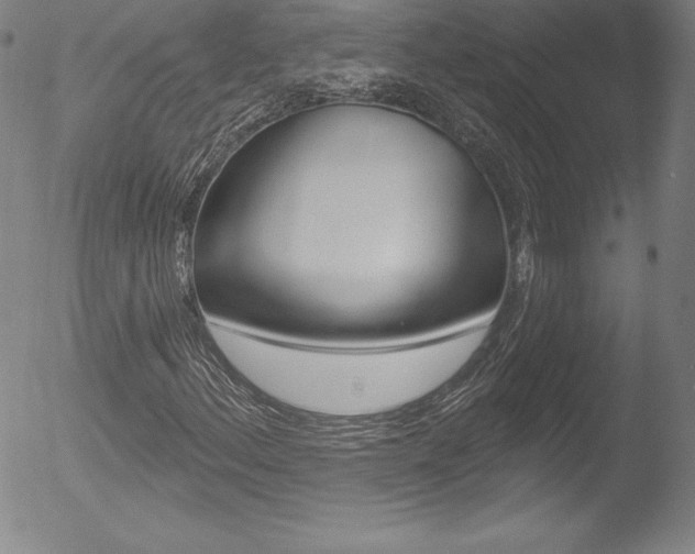 X0000053021156200507080945