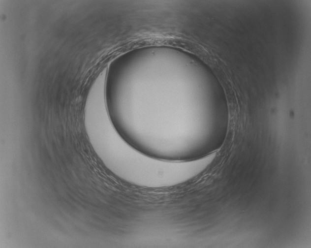 X0000053021157200507080945