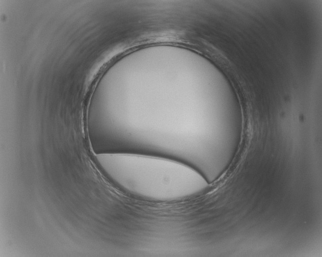 X0000053021174200507080944
