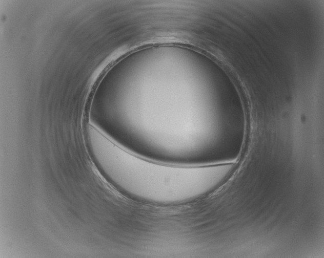X0000053021181200507080944
