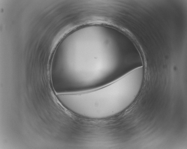 X0000053021191200507080944
