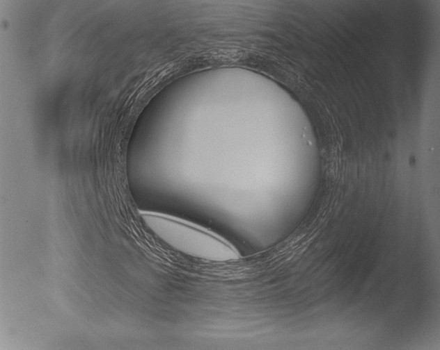 X0000053021201200507080943