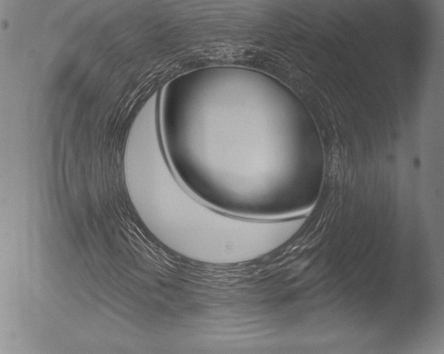 X0000053021202200507080943
