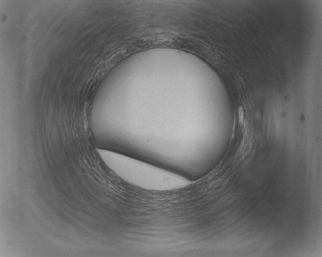 X0000053021203200507080943