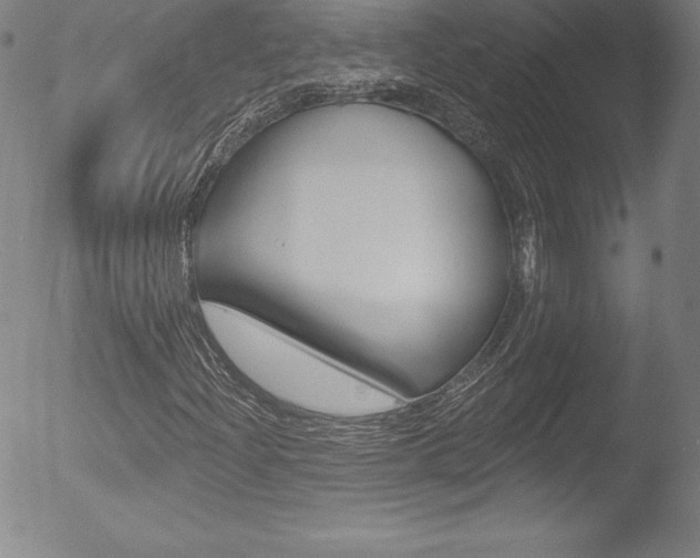 X0000053021204200507080943