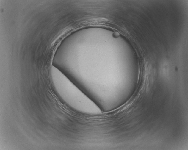 X0000053021211200507080943