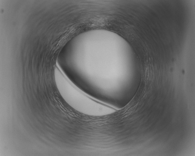 X0000053021250200507080943