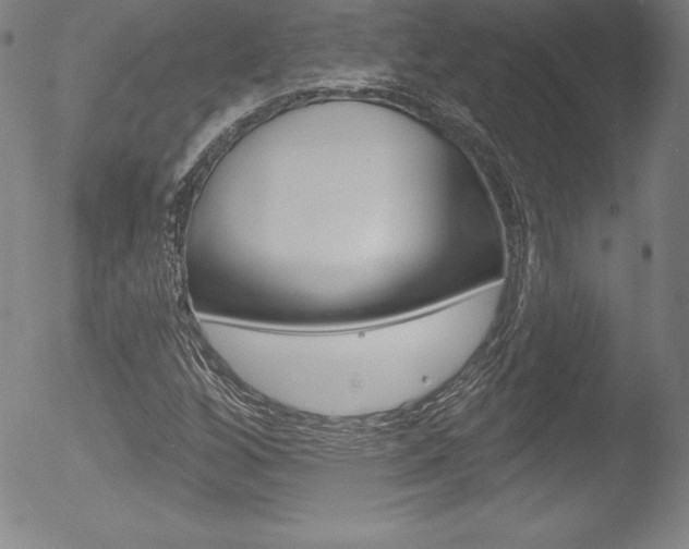 X0000053021256200507080943