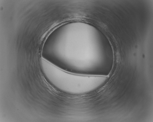 X0000053021260200507080943