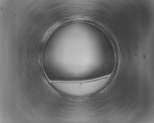 X0000053021273200507080943