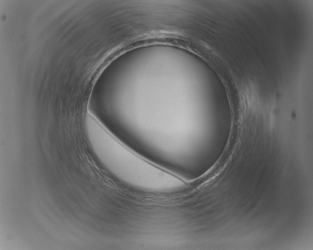 X0000053021313200507080942