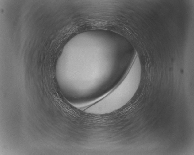 X0000053021345200507080941