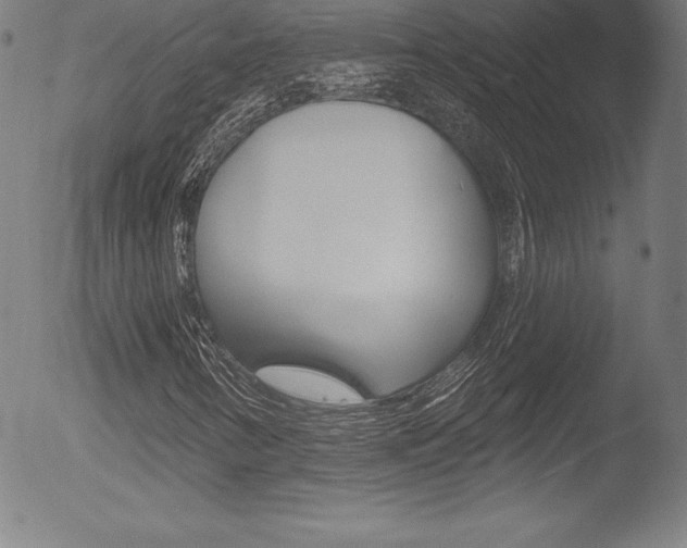 X0000053021346200507080941