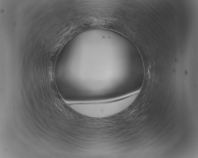 X0000053021348200507080941