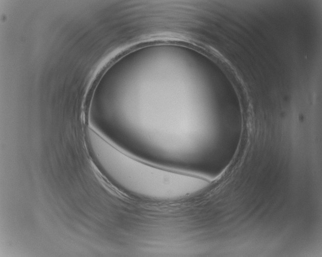X0000053021372200507080941
