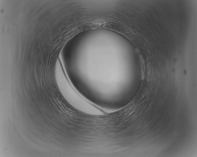 X0000053021394200507080940