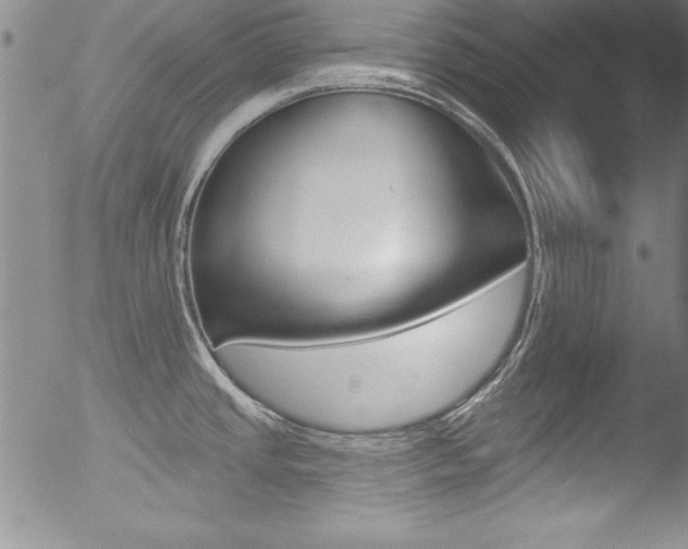 X0000053021437200507080941
