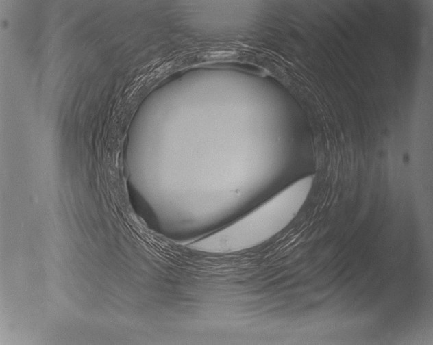X0000053021441200507080940