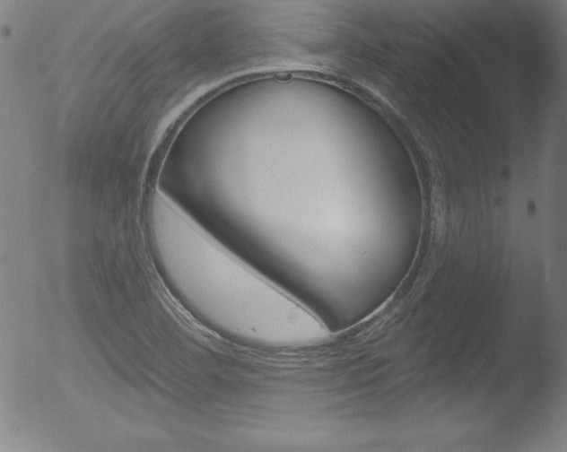 X0000053021460200507080940