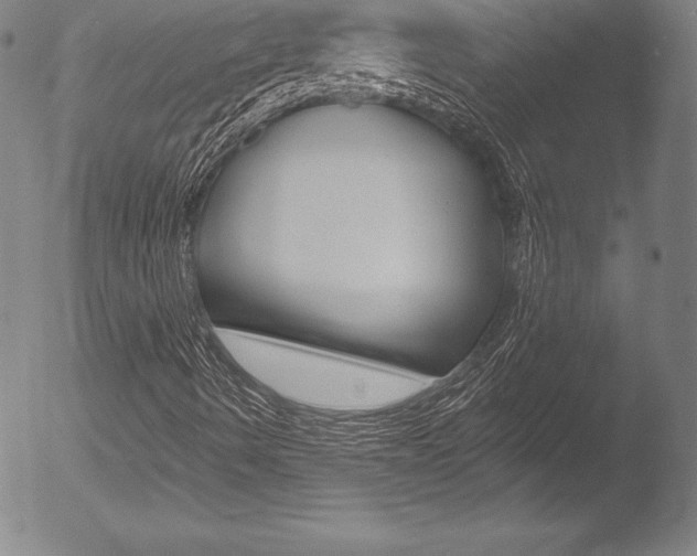 X0000053021490200507080938