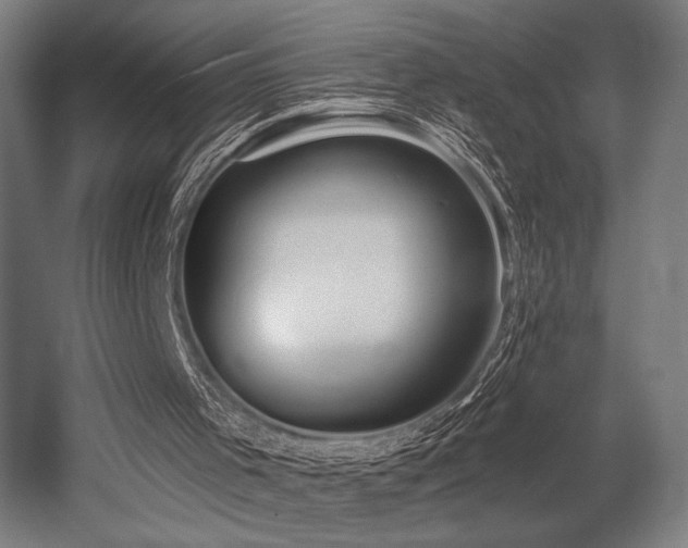 X0000053020001200507081338