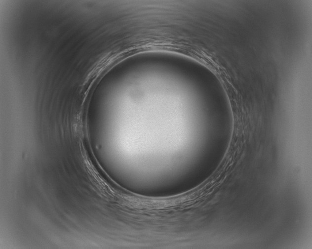 X0000053020002200507081338
