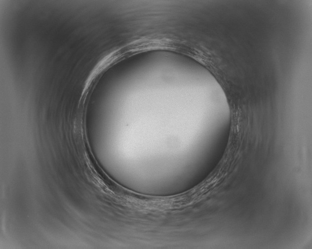 X0000053020004200507081338