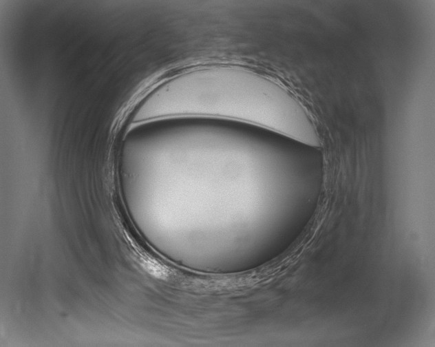 X0000053020005200507081338