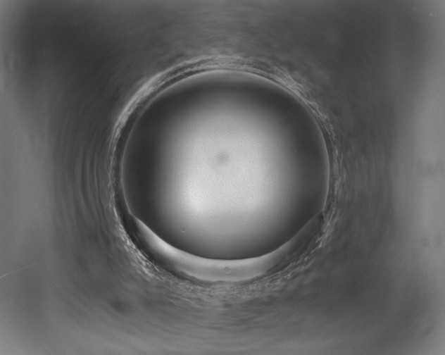 X0000053020007200507081338