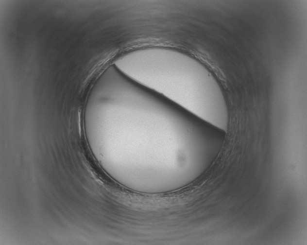 X0000053020014200507081338