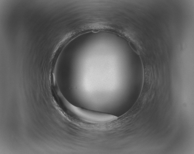 X0000053020015200507081338