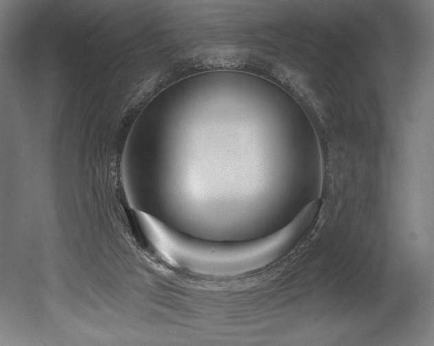 X0000053020017200507081338