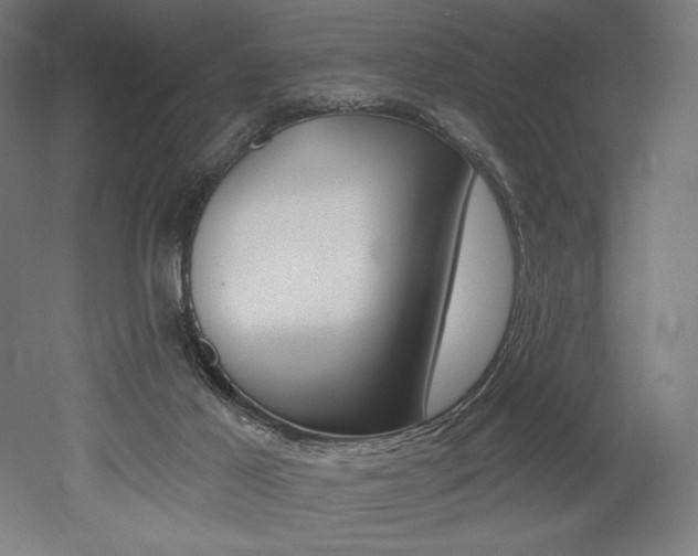 X0000053020021200507081338